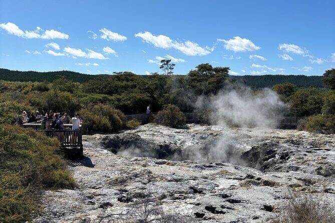 Rotorua: WaiOtapu & Redwood forest & Blues springs from Auckland - Private Rotorua Day: How One Route Gives You Three Classic Stops