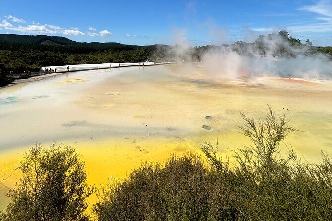 Rotorua: WaiOtapu & Redwood forest & Blues springs from Auckland - Is $465.43 Worth It: The Value Math for a 12-Hour Private Tour