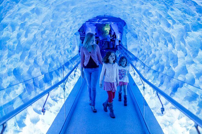 SEA LIFE Kelly Tarlton's General Admission - From the Entrance to the Antarctic Theme: How the 13 Zones Flow