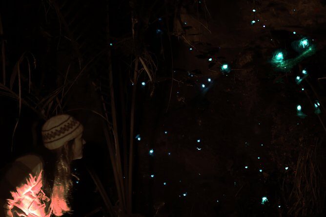 See Auckland's Secret Glow Worms - From the Ferry Building into the night: how the start really works