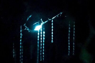 See Auckland's Secret Glow Worms - The sunset schedule: when pickup changes and why it matters