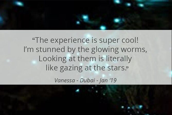 See Auckland's Secret Glow Worms - What to pack (and what will trip you up)
