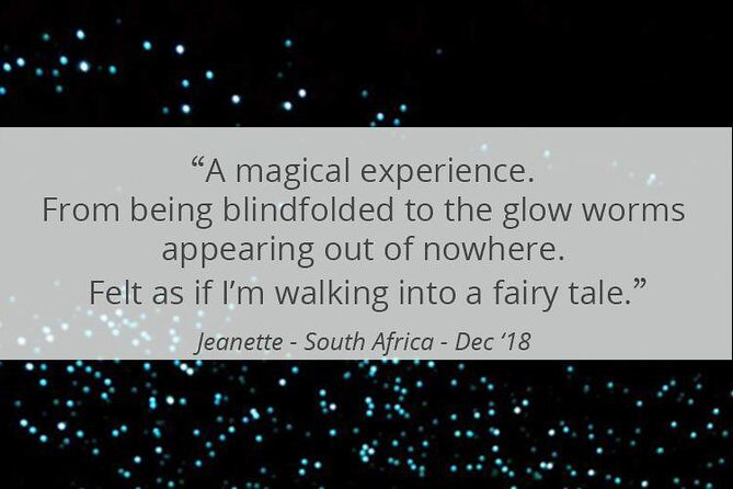 See Auckland's Secret Glow Worms - Photos, Clothing, and Tiny Mistakes to Avoid