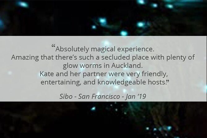 See Auckland's Secret Glow Worms - Who This Tour Suits Best (And Who Might Want Another Plan)