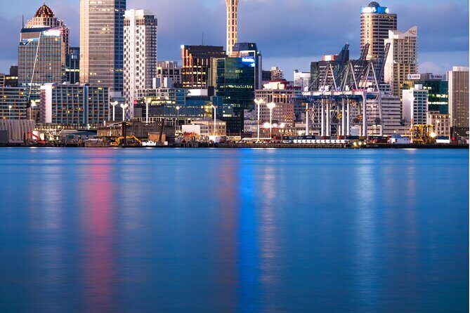 Sheep Shearing and Auckland City Highlights Tour with Lunch - Why this Auckland day feels like two trips in one