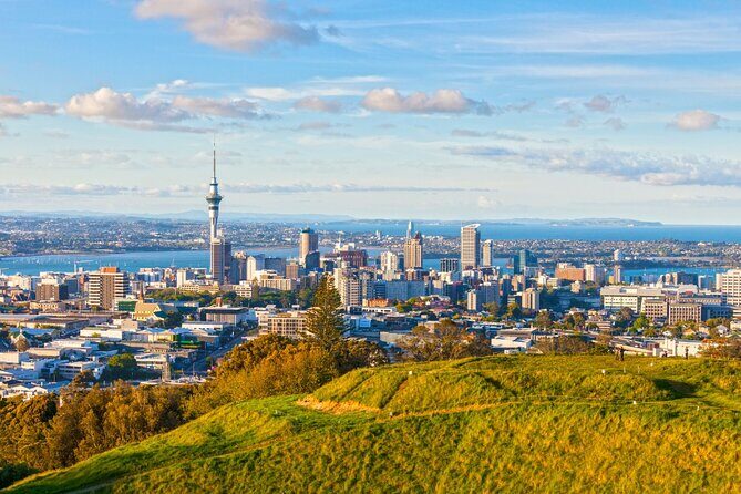 Sheep Shearing and Auckland City Highlights Tour with Lunch - Harbour Bridge to Ponsonby: city highlights without the stress