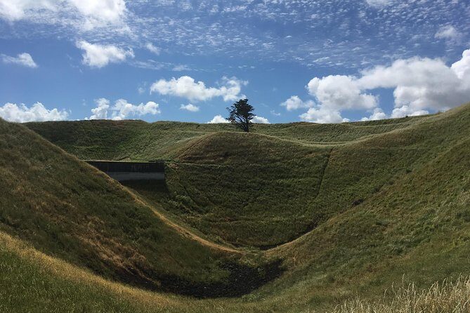 Shore Excursion: Half-Day Auckland Volcanoes Tour - Why Auckland’s volcanoes feel different on foot