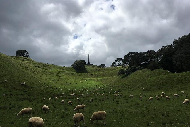Shore Excursion: Half-Day Auckland Volcanoes Tour - Price, pacing, and what $179.97 buys you