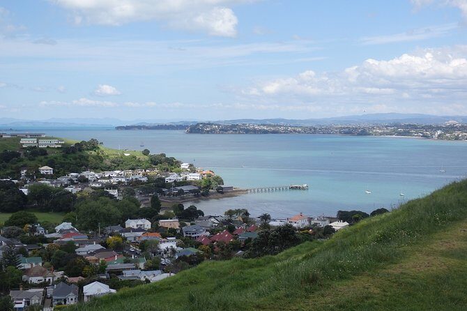 Shore Excursion: Half Day Small Group Auckland Scenic Tour - 4 HOURS - The real star: 360-degree views without the headache