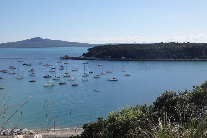 Shore Excursion: Half Day Small Group Auckland Scenic Tour - 4 HOURS - Coast-town energy: Devonport and Mission Bay in one half-day