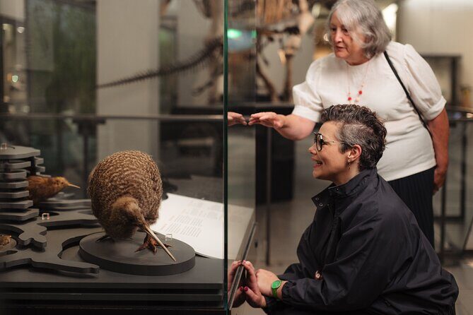 Skip the Line: Auckland Museum General Admission Ticket - Your museum route: a three-floor story of Aotearoa