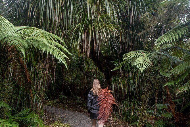 Small Group Northern Voyager 7 Days Tour - Day 5: Tongariro Crossing day (the walk that sets the tone)