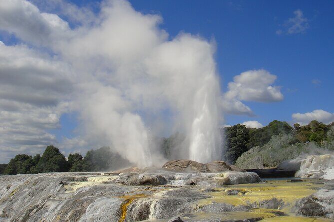 Small Group Waitomo and Rotorua including Te Puia Tour - Key Points to Know Before You Go