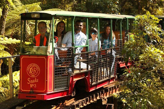 [Stevong Travel] West Coromandel Day Tour - Price and What You Actually Get for $434.40