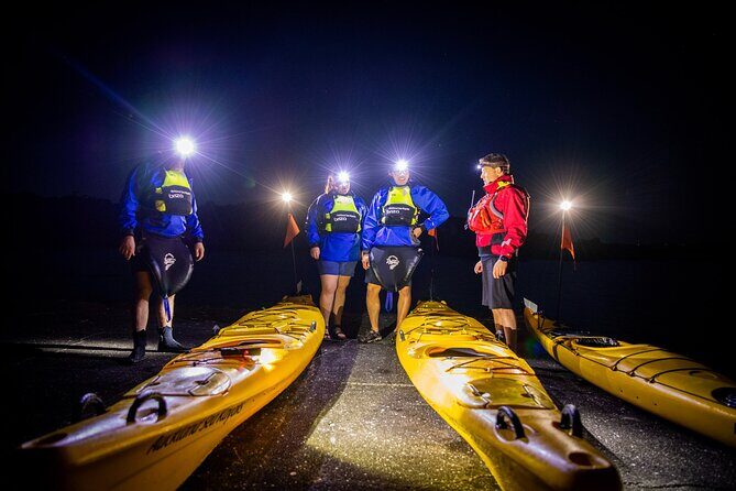 Sunset kayak tour to Rangitoto Island - BBQ dinner on the island: why it hits different after kayaking