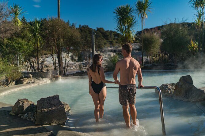 Te Puia & Hells Gate incl. Mud Spa Experience Private Tour - Te Puia in Rotorua: Pōhutu geyser, Māori performance, kiwi birds, and hangi lunch