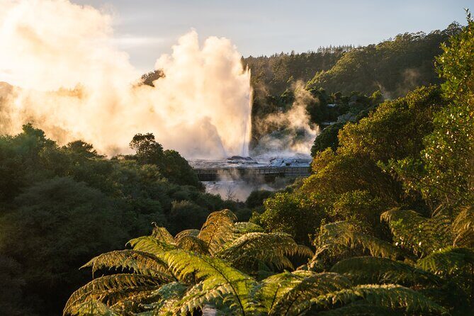 Te Puia Rotorua Experience with Optional Activities – Ex Auckland - The afternoon choice: pick your own Rotorua flavor