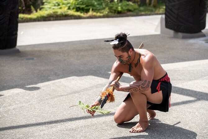 Te Puia Rotorua Experience with Optional Activities – Ex Auckland - What’s included (and the stuff you’ll likely have to handle yourself)