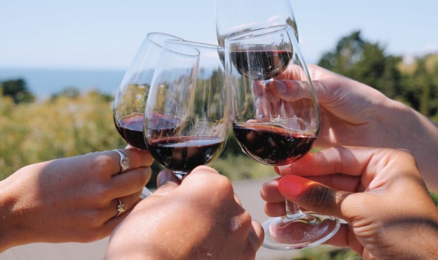 The Boutique Experience: Waiheke Island Best Cellar Tour - A fair caution: what this tour may not be for