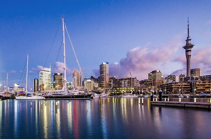 The City Lights: a unique electric bike tour of Auckland by night! - Victoria Park, City Works Depot, and the Lightpath centerpiece