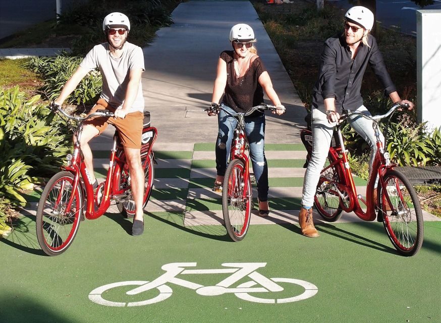 The Classic: Discover Amazing Auckland on an Electric Bike - How the ride feels: effort levels, safety gear, and left-side comfort
