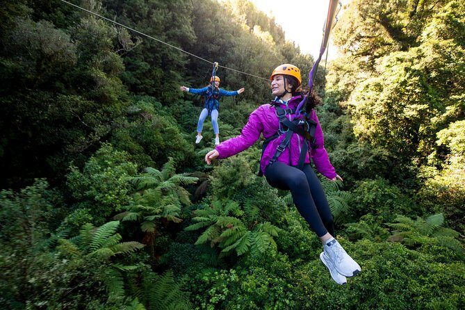 The Ultimate Canopy Zipline Experience Private Tour From Auckland - Key points before you commit