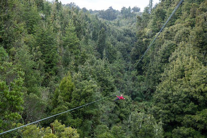 The Ultimate Canopy Zipline Experience Private Tour From Auckland - How this Auckland-to-Rotorua day works (and why it’s worth the early alarm)