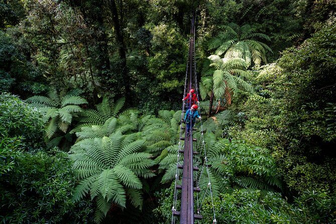 The Ultimate Canopy Zipline Experience Private Tour From Auckland - The 400m tandem zipline: more fun with a partner