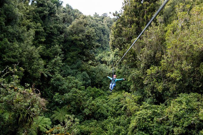 The Ultimate Canopy Zipline Experience Private Tour From Auckland - What safety and gear feel like in practice