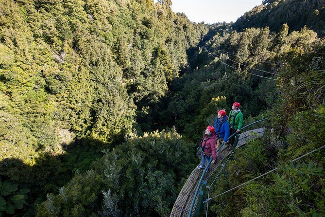 The Ultimate Canopy Zipline Experience Private Tour From Auckland - Rotorua canopy action: 6 zip lines plus abseil and a 50m cliff walk