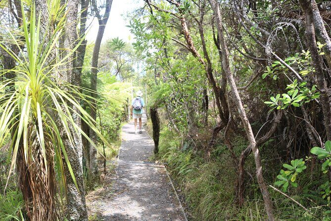 Tiritiri Matangi Island Discovery - from Auckland - Key things to know before you go