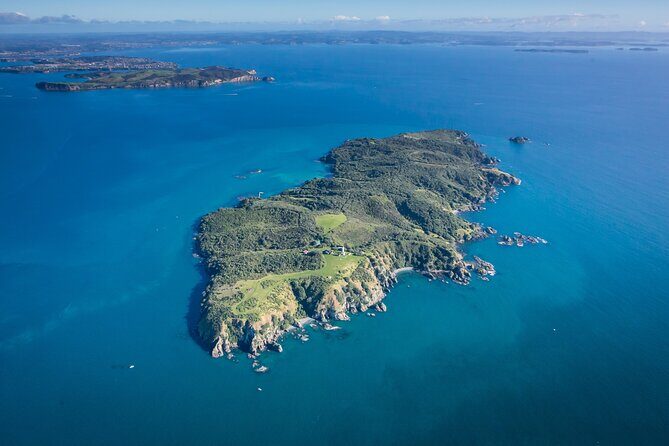 Tiritiri Matangi Island Discovery - from Auckland - Why Tiritiri Matangi feels like another world (even on a day trip)
