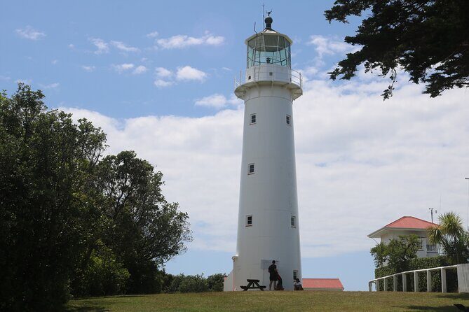 Tiritiri Matangi Island Discovery - from Auckland - Hobbs Beach: the easy coastal break for a picnic or swim