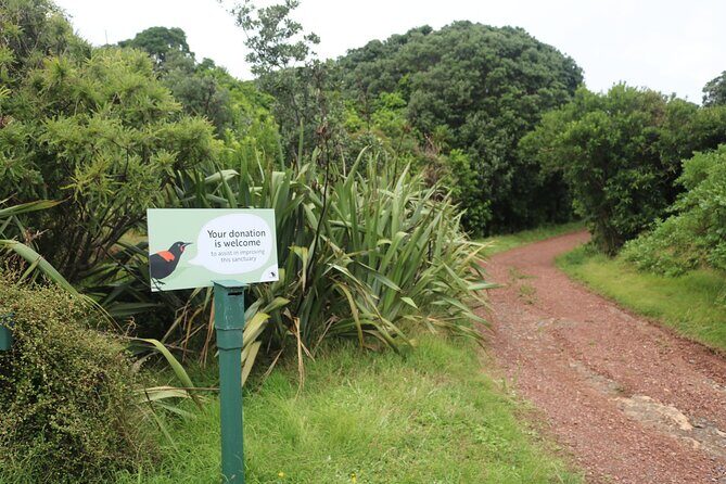 Tiritiri Matangi Island Discovery - from Auckland - Guided help vs self-guided exploring