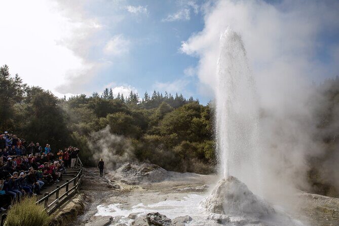 TRIPLE DEAL Wai-O-Tapu, Redwood Forest & Blue Springs Ex Auckland - Lunch, breaks, and bathroom planning for a long road day