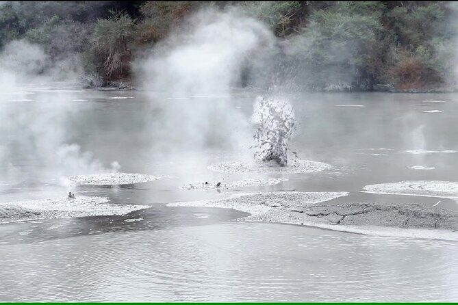 TRIPLE DEAL Wai-O-Tapu, Redwood Forest & Blue Springs Ex Auckland - Timing tips: how to maximize Lady Knox and Wai-O-Tapu