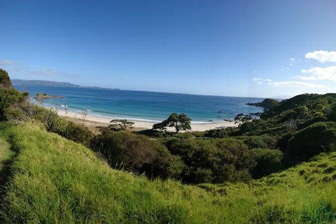 Twilight Wild Kiwi Bird Encounter Private Tour - How the guides turn a walk into a New Zealand nature lesson