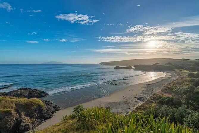 Twilight Wild Kiwi Bird Encounter Private Tour - Timing and pacing: two stops, one smooth flow