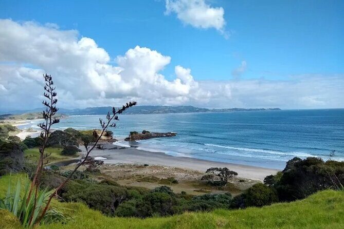Twilight Wild Kiwi Bird Encounter Private Tour - Price and value: what you’re really paying for at $589.54 per person