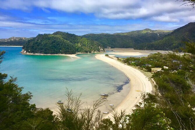 Twilight Wild Kiwi Bird Encounter Private Tour - Practical tips for making your kiwi night go smoothly