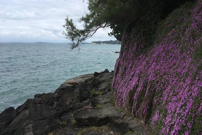 Volcanoes, Coasts, and Secret Spots Afternoon Tour in Auckland - Small-group van comfort and the reality of pacing
