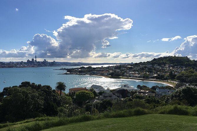 Volcanoes, Coasts, and Secret Spots Afternoon Tour in Auckland - What the price includes (and where it’s great value)