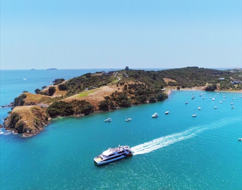 Waiheke Island: Ferry & Hop-On Hop-Off Explorer Bus Tickets - Olive oil and tastings: the Allpress stop for people who aren’t wine-only