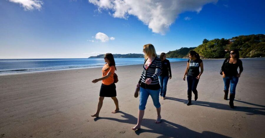 Waiheke Island: Ferry & Hop-On Hop-Off Explorer Bus Tickets - Nature breaks: Whakanewha’s cascades loop for calm forest time