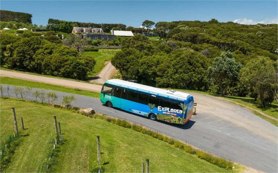 Waiheke Island: Ferry & Hop-On Hop-Off Explorer Bus Tickets - Food along the way: how to eat without turning your day into a mission