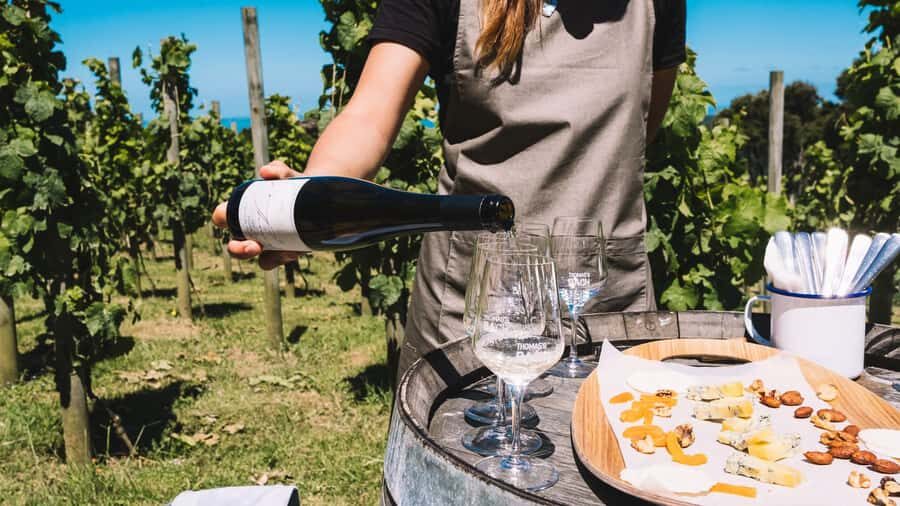 Waiheke Island Gourmet Food and Wine Tour with Lunch - Who this Waiheke gourmet tour fits best (and who should skip it)