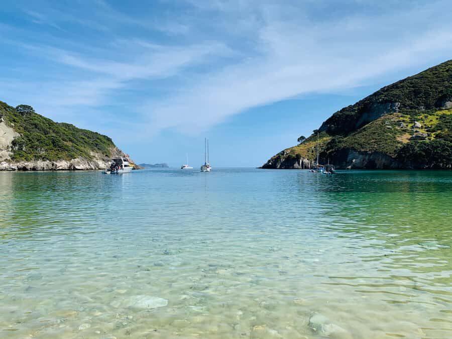 Waiheke Island: Gulf Marine Park Sailing Adventure & Lunch - Who this sailing adventure suits best (and who should think twice)