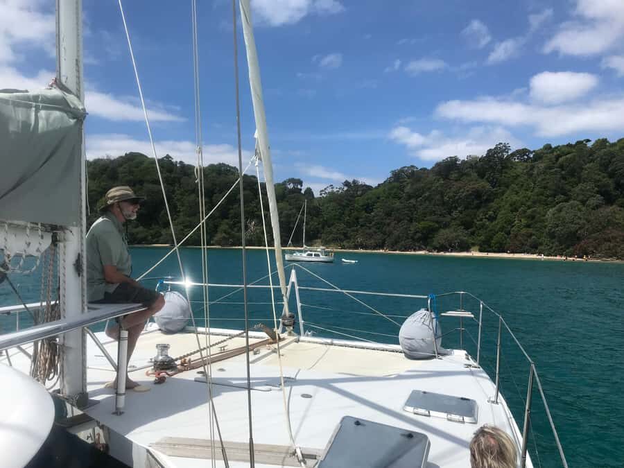 Waiheke Island: Gulf Marine Park Sailing Adventure & Lunch - Why a 41-foot catamaran outing from Waiheke feels special