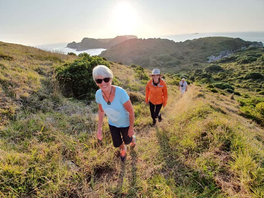 Waiheke Island: Gulf Marine Park Sailing Adventure & Lunch - Pest-free island walk: conservation lessons you can actually walk through
