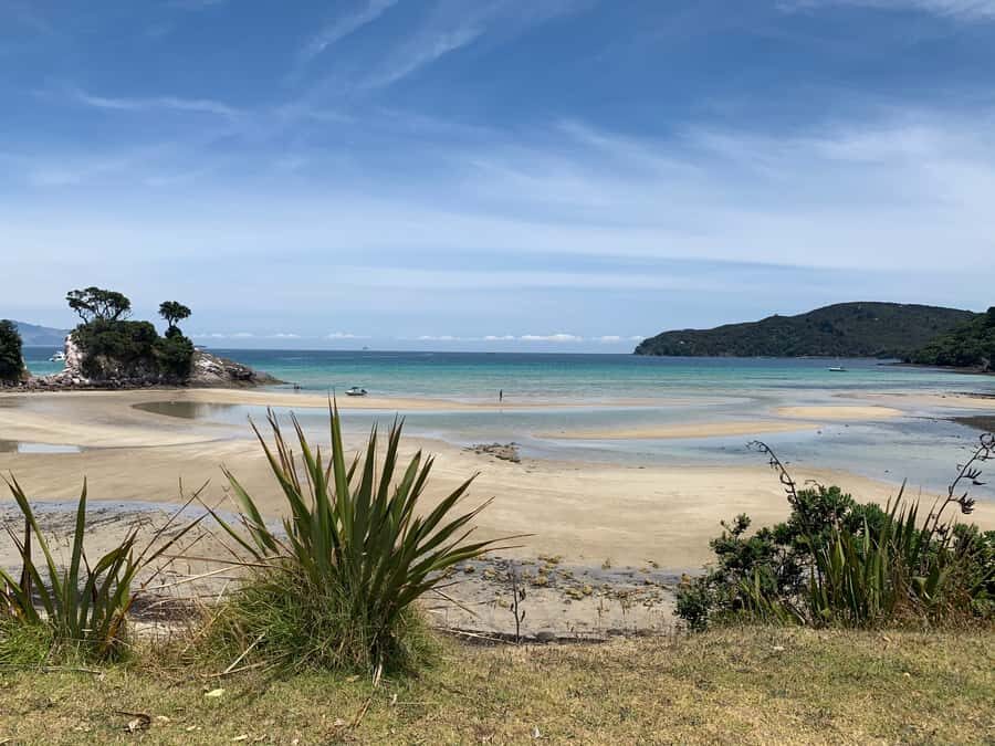 Waiheke Island: Gulf Marine Park Sailing Adventure & Lunch - How the sailing stays active: wind, weather, and options for the helm